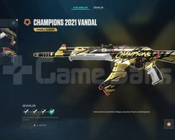 921RR 6 Adet Radiant Uğurluklu Champion Hesap V25