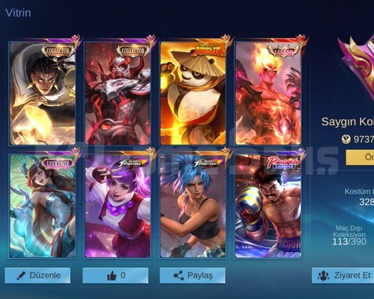 VALIR LEG/AKAI KUNGFU/GUI KOF/MANY PAQ