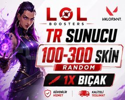 TR SUNUCU / 100-300 SKİN 1X BIÇAKLI DOPDOLU RANDOM